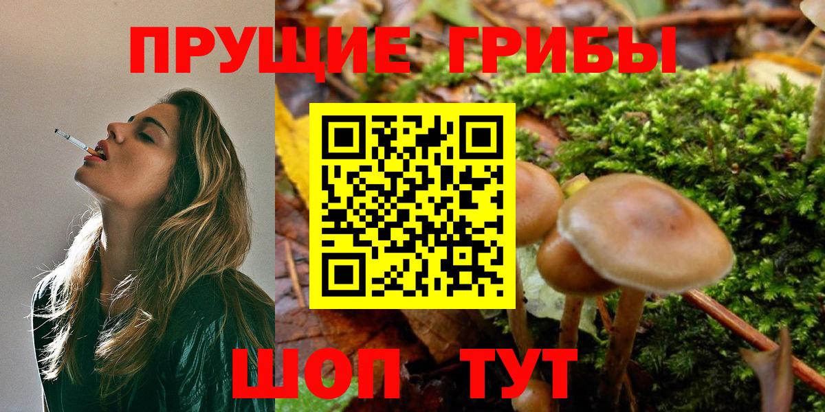 Галлюциногенные грибы Cubensis Белая Калитва