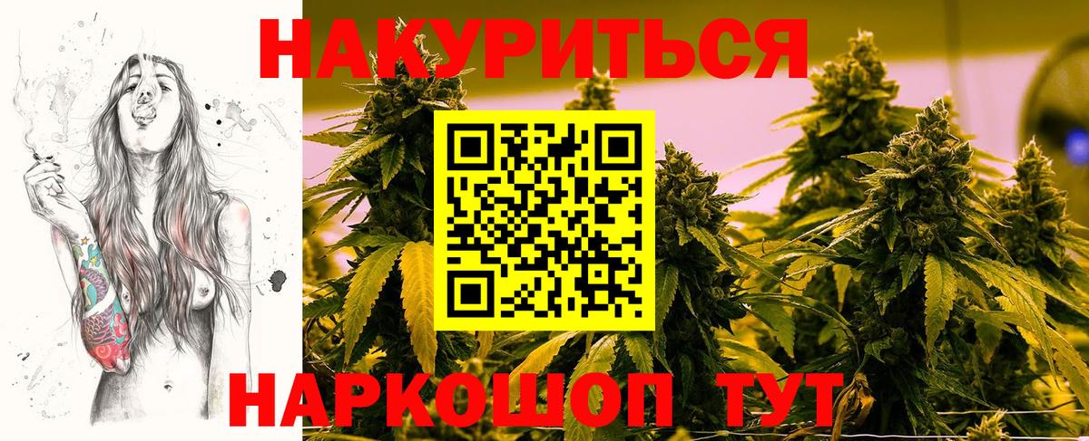 Бошки марихуана SATIVA & INDICA  Бошки марихуана план  Каннабис Bruce Banner  Белая Калитва  Вход с VPN  Канабис конопля 